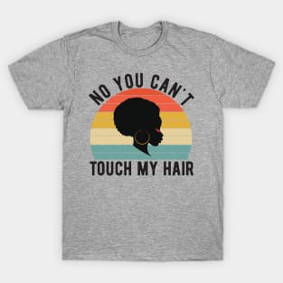 funny quote  no you cant touch my hair vintage humor meme T-Shirt